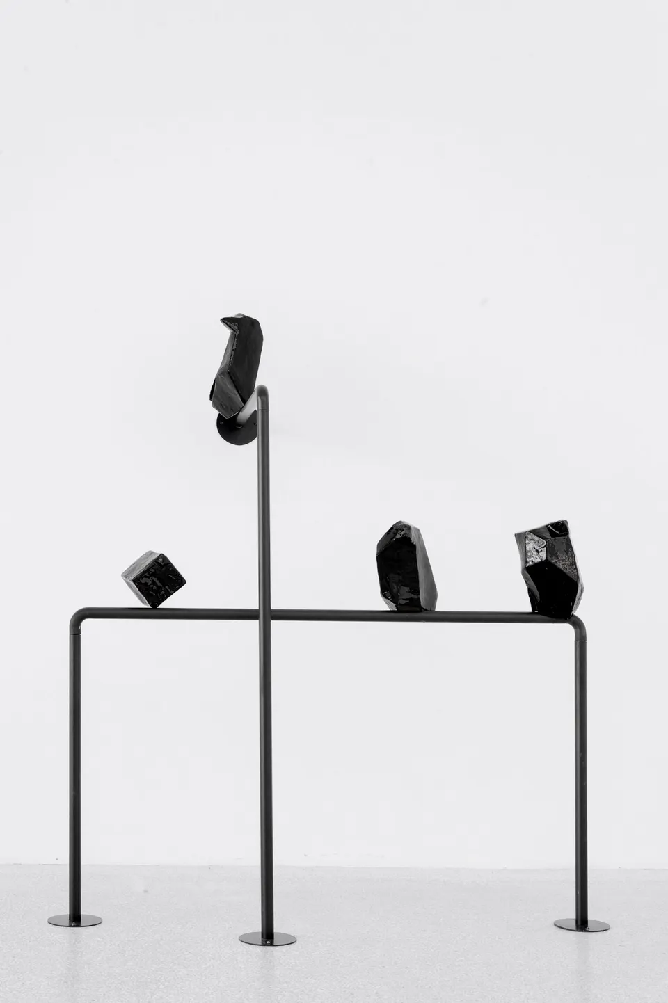 Judith Hopf, raben