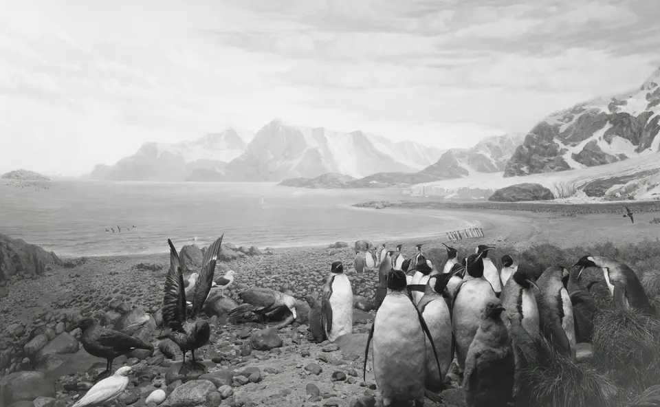 Hiroshi Sugimoto, Birds of South Georgia
