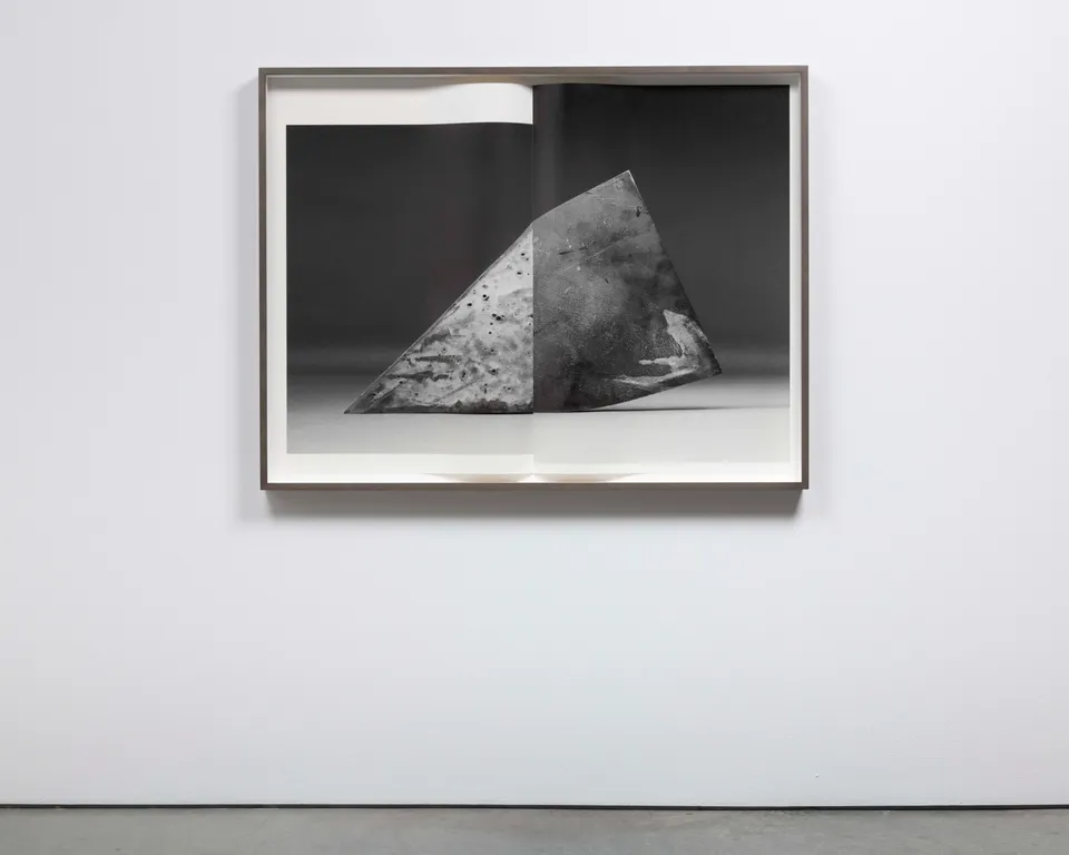 Erin Shirreff, Fig. 14