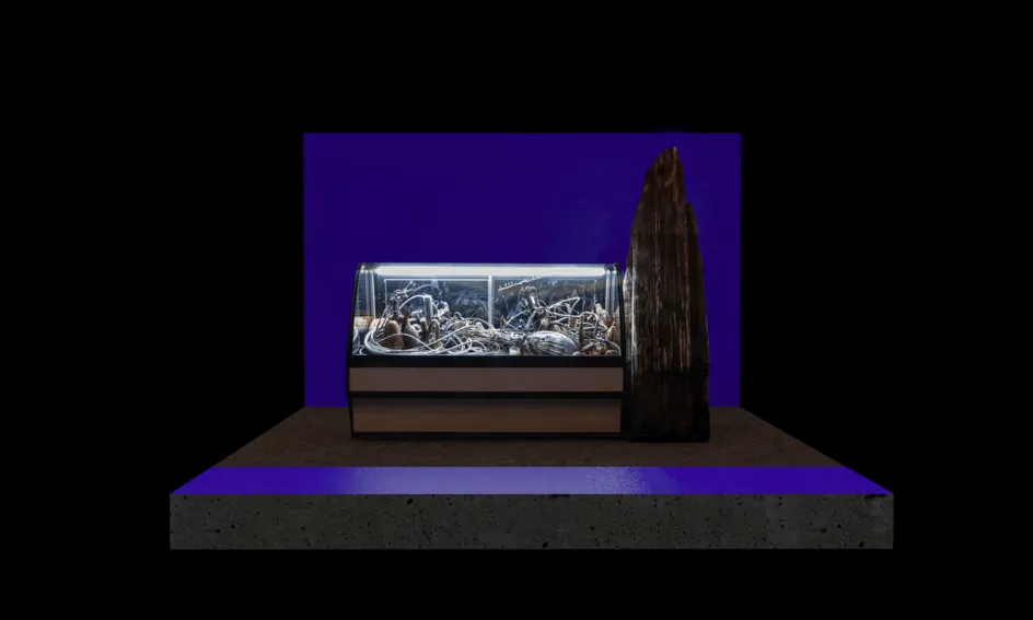Adrián Villar Rojas, from the series the theater of disappearance (iv)
