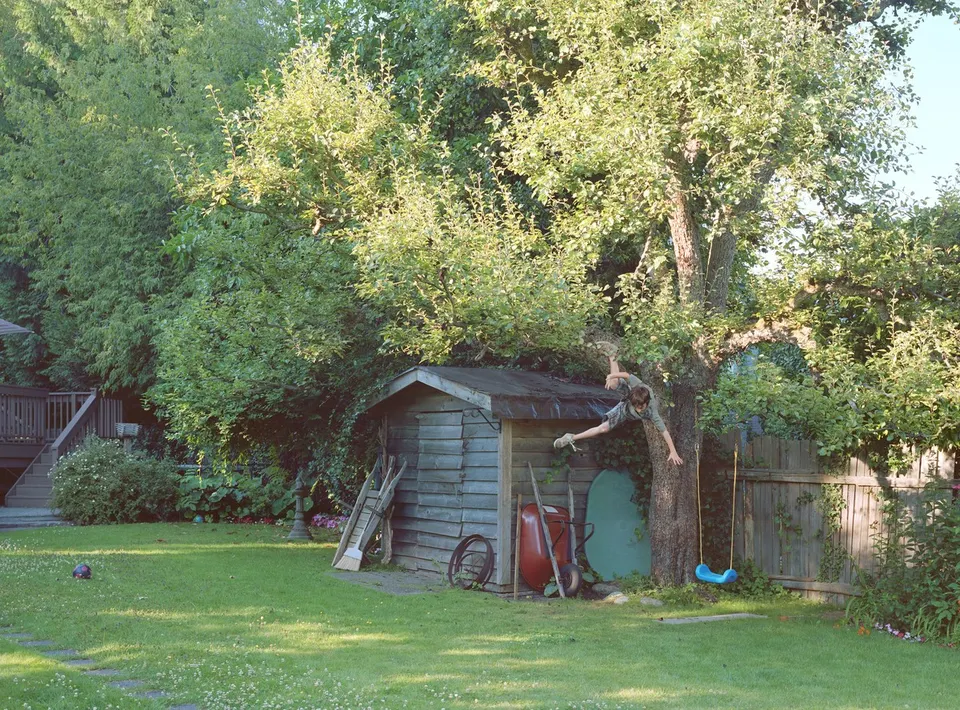 Jeff Wall, Boy falls from tree