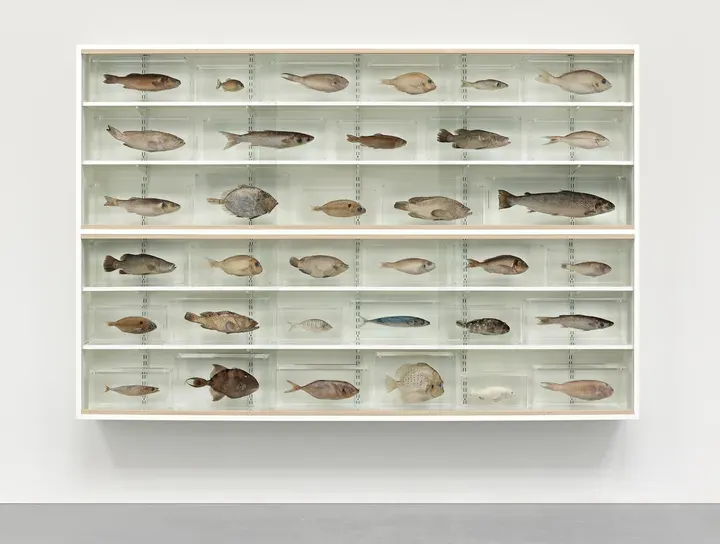 Damien Hirst, Love is Blind