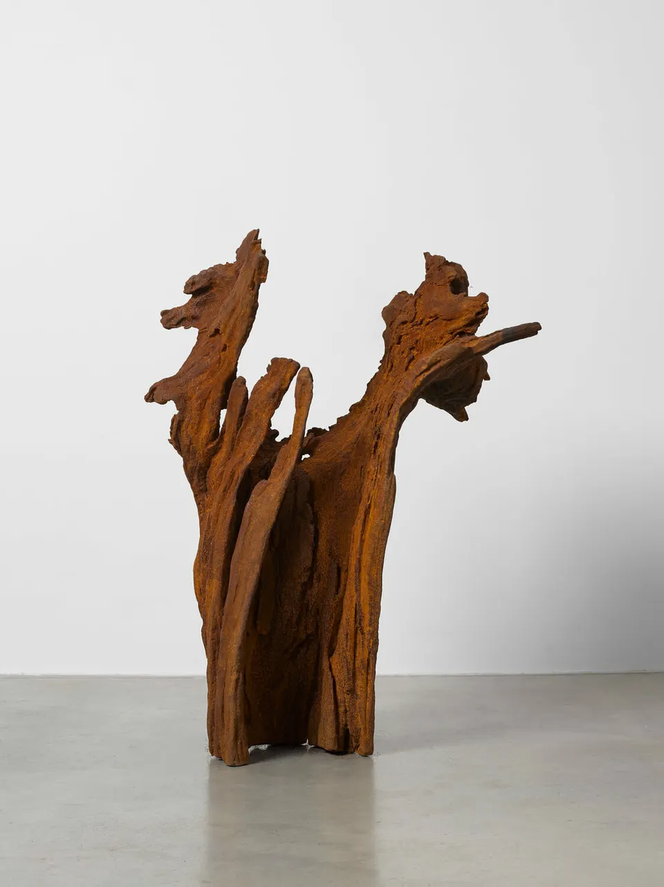 Ai Weiwei, Iron Root