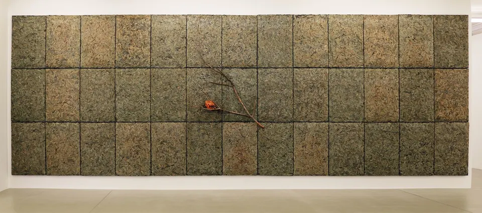 Giuseppe Penone, Respirare L'ombra