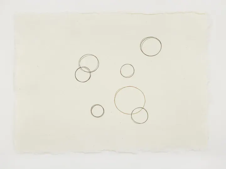 Mona Hatoum, Composition with Circles I