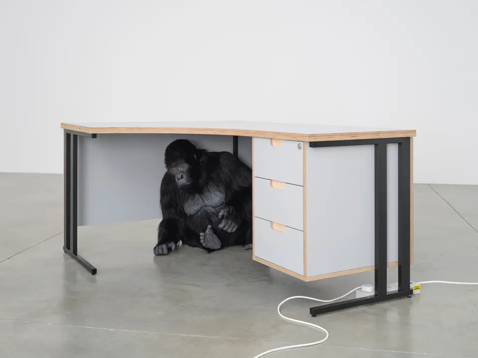 Ryan Gander, School of Languages