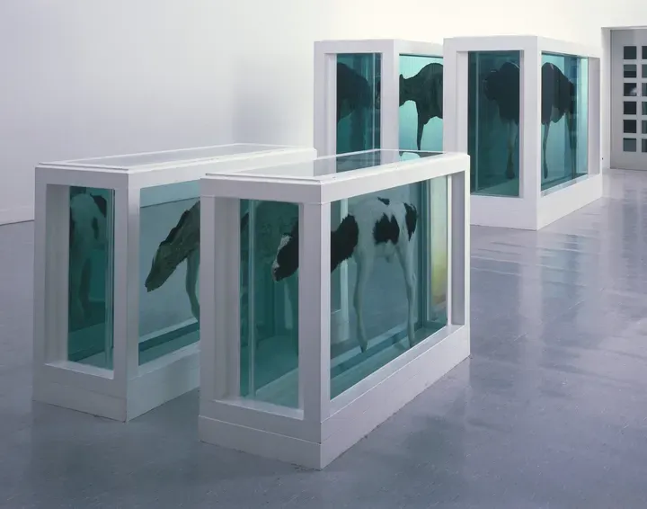 Damien Hirst, Mother and Child (Divided)