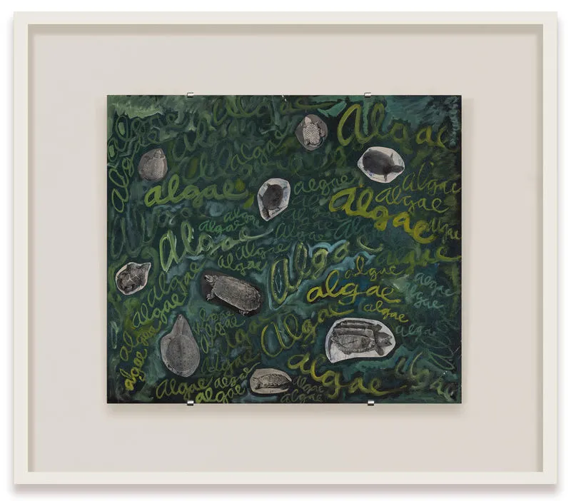 Robert Smithson, Algae, algae