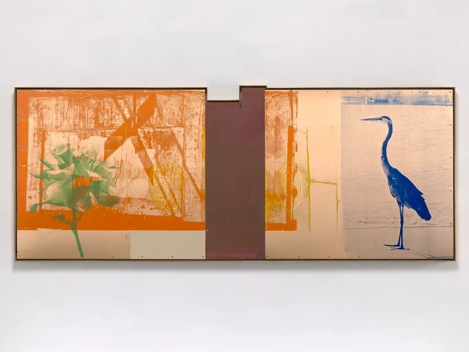 ROBERT RAUSCHENBERG, Bird Watch