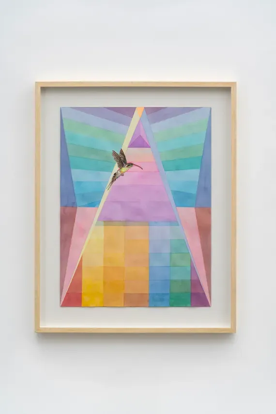 Efrain Almeida, Prisma (7)
