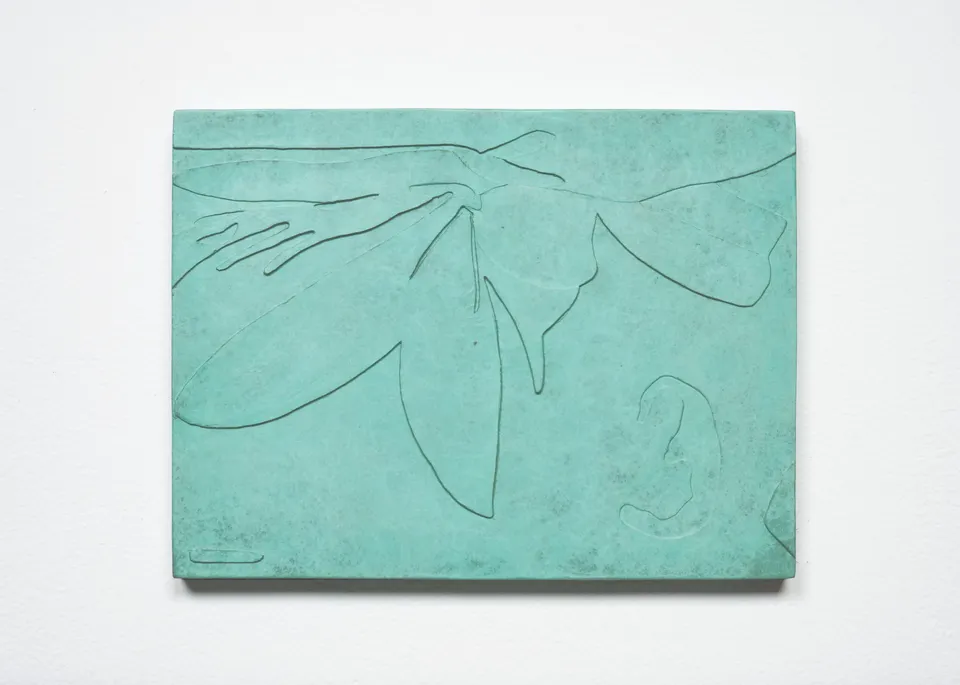 Marie-Michelle Deschamps, Coquilles #12
