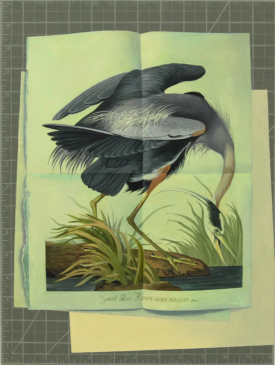 Olivia Jia, Great Blue Heron