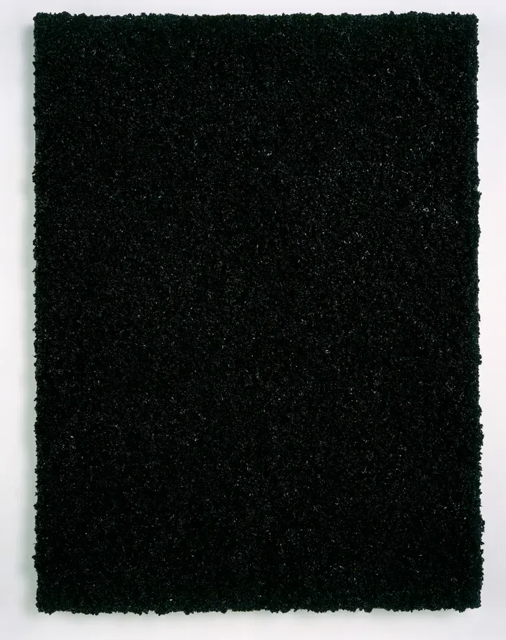 Damien Hirst, Smallpox
