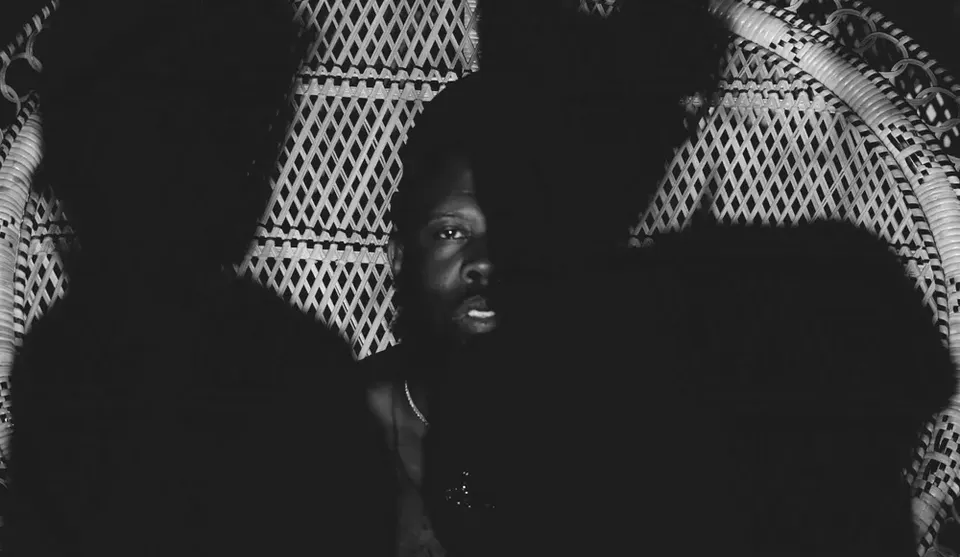 Jammie Holmes, Zebra
