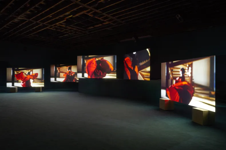 Isaac Julien, Lina Bo Bardi – A Marvellous Entanglement