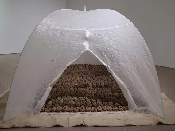 Zheng Xue, Dreamt of You Covered in Yellow Mud