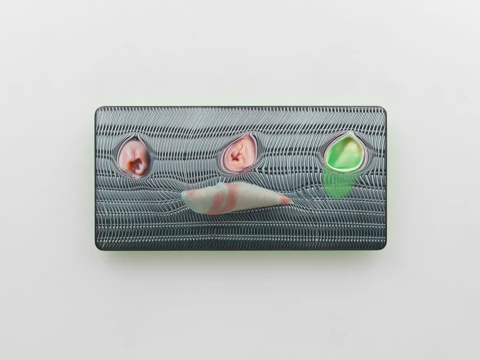 Tishan Hsu, mammal-screen-green-2