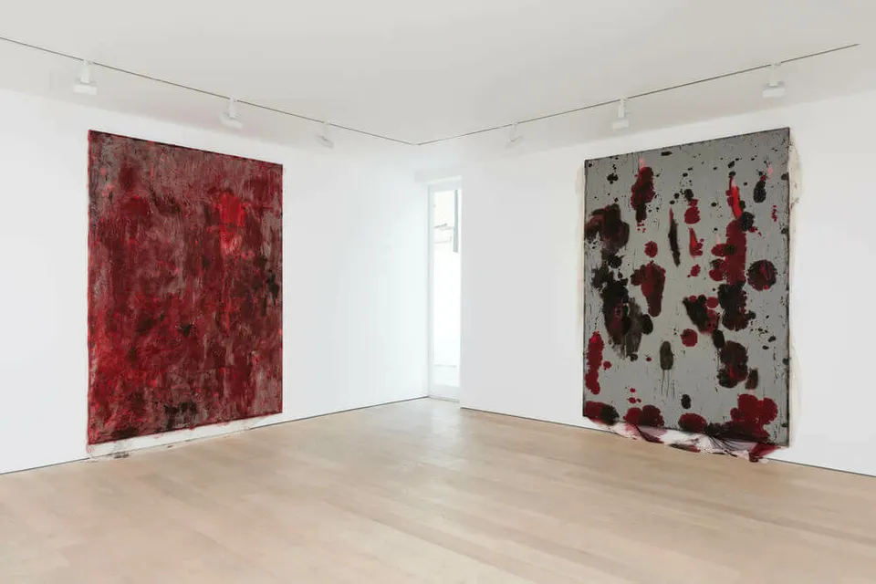 Anish Kapoor, Installation view