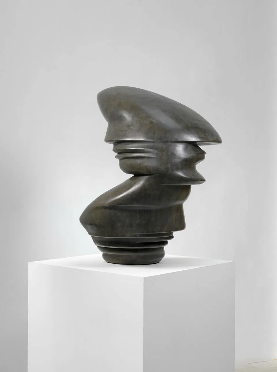 Tony Cragg, In Mind