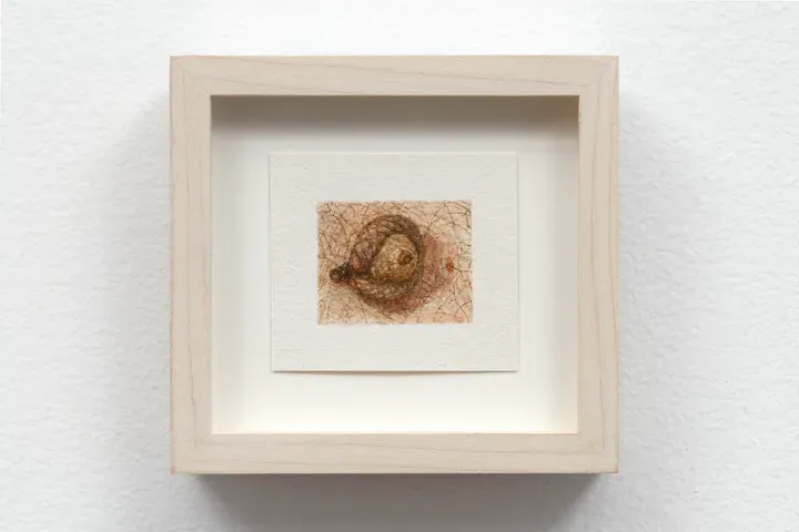 Ellen Altfest, Acorn