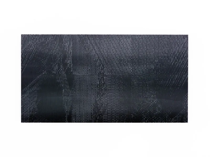 Agnieszka Kurant, Evolutions II