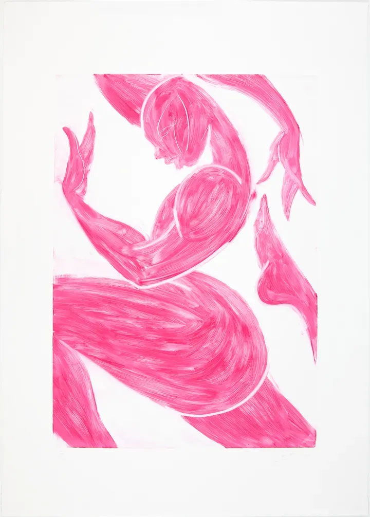 Tunji Adeniyi-Jones, Magenta Reflection
