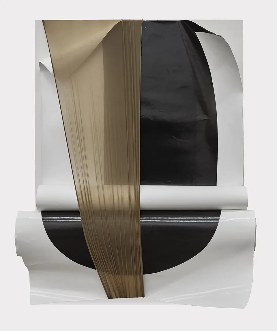 Sheree Hovsepian, Visage