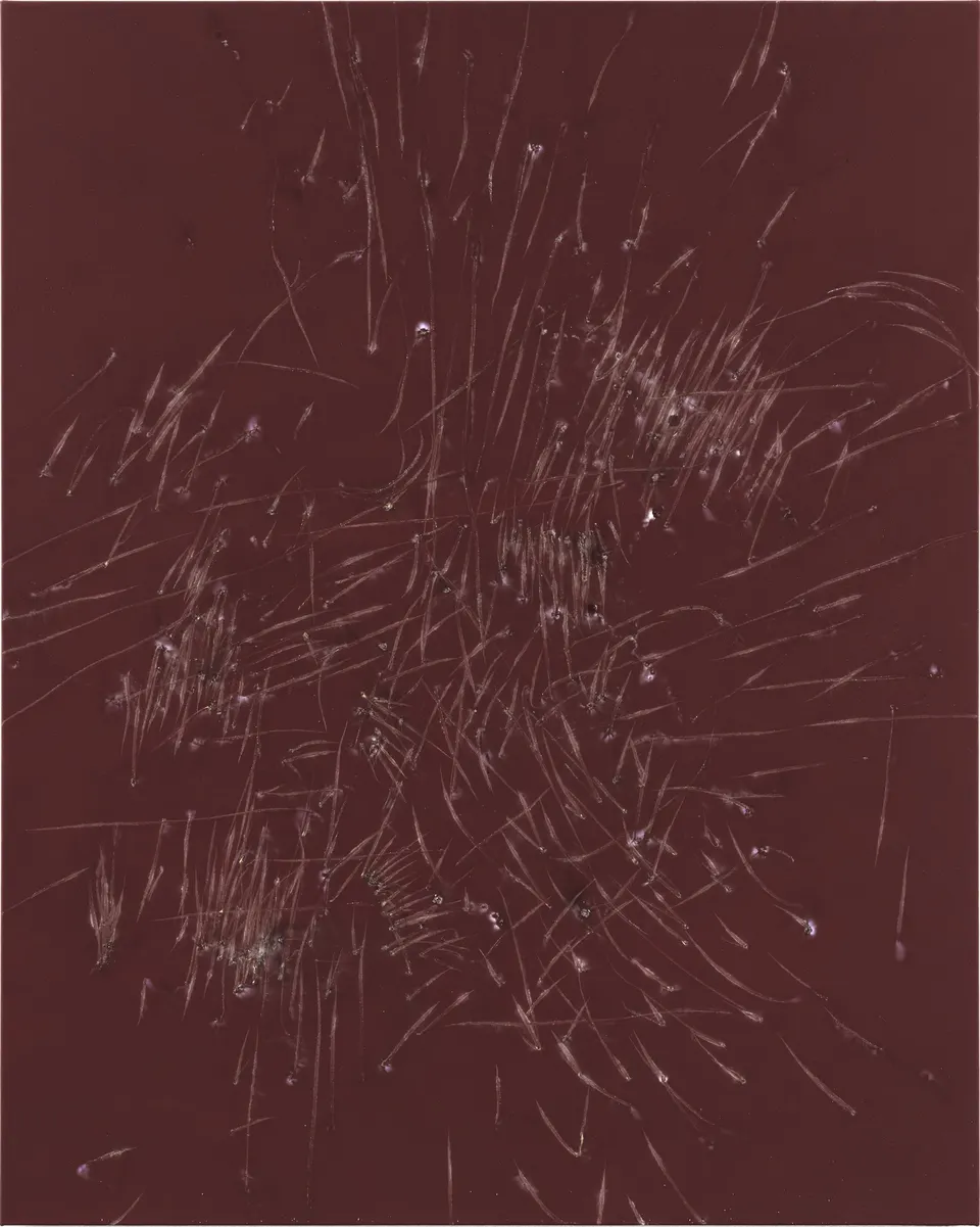 Thomas Wachholz, Monochrom II