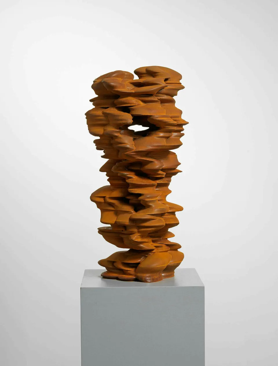Tony Cragg, It is, It isn’t