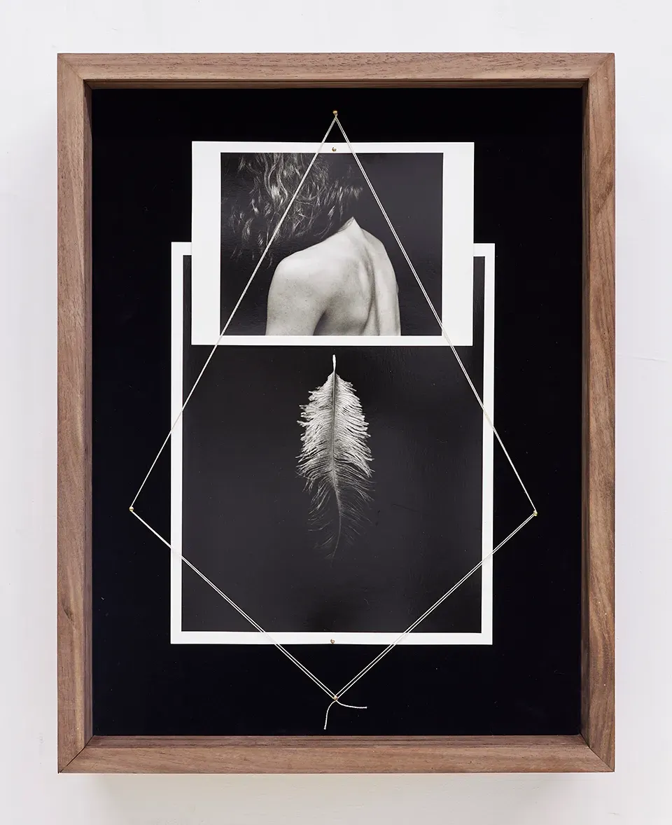 Sheree Hovsepian, Musing