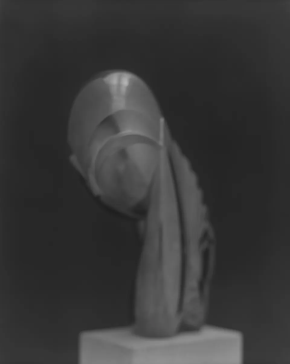 Hiroshi Sugimoto, Past Presence 075, Mlle. Pogany II, Constantin Brancusi