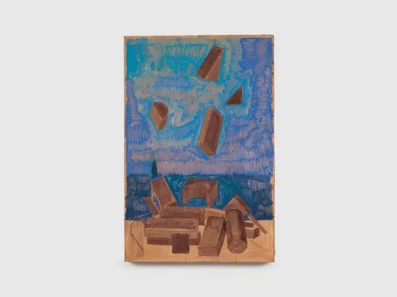 Fiza Khatri, A Fall