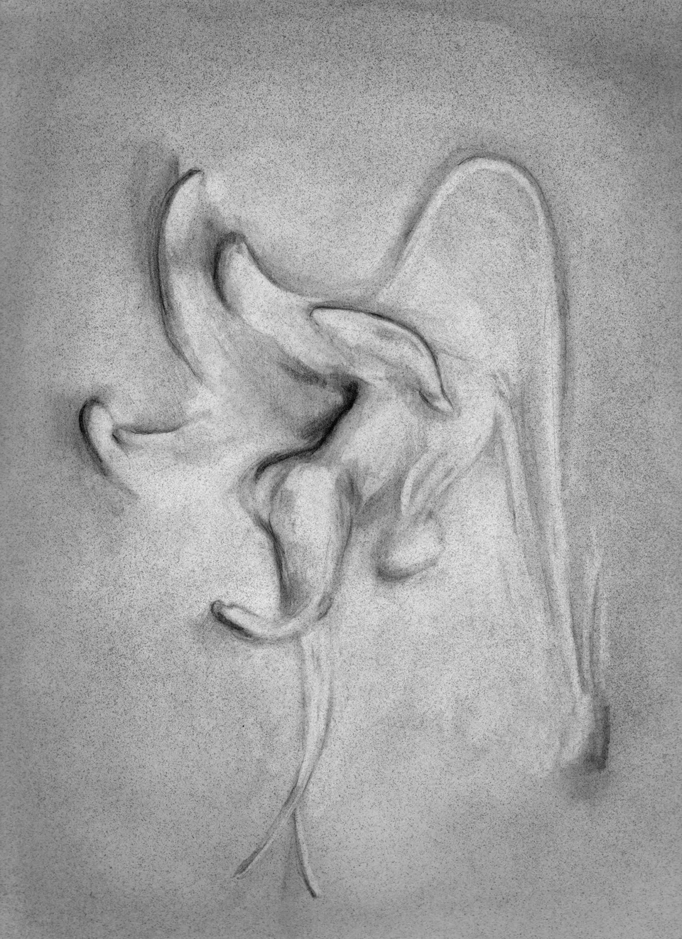 Emma Webster, Venus