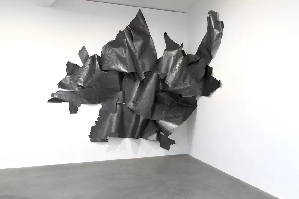 Nancy Rubins, Nancy Rubins Drawing