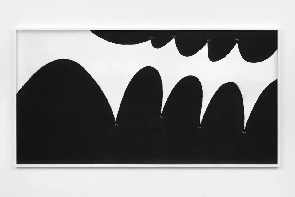 Christine Sun Kim, Long Echo