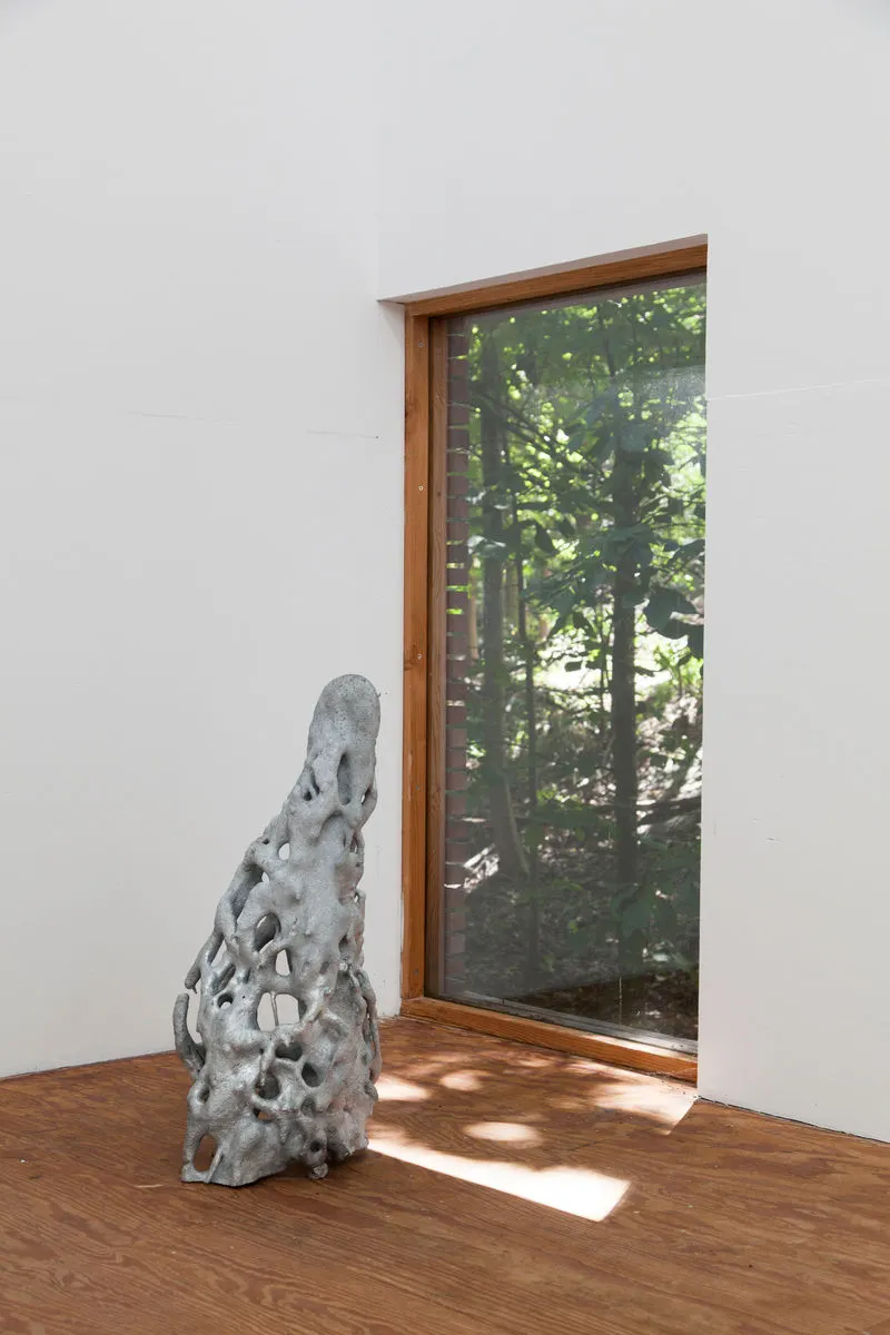 Agnieszka Kurant, A.A.I. (System's Negative) No. 4