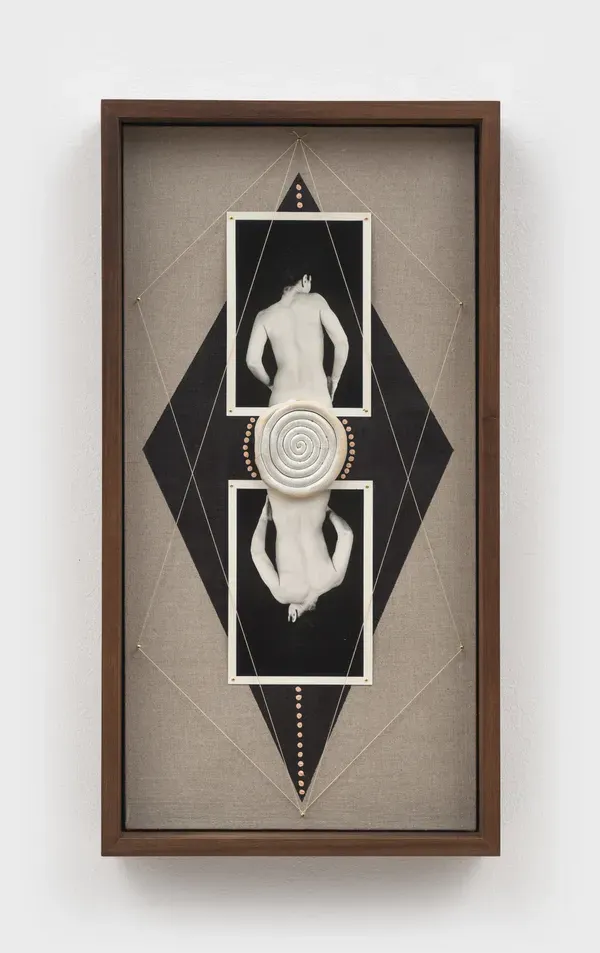 Sheree Hovsepian, Suture
