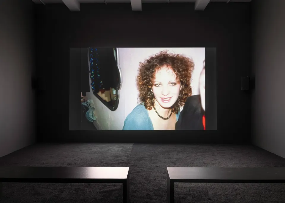 Nan Goldin, Memory Lost