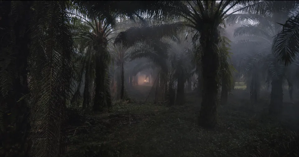 Julian Charrière, An Invitation to Disappear