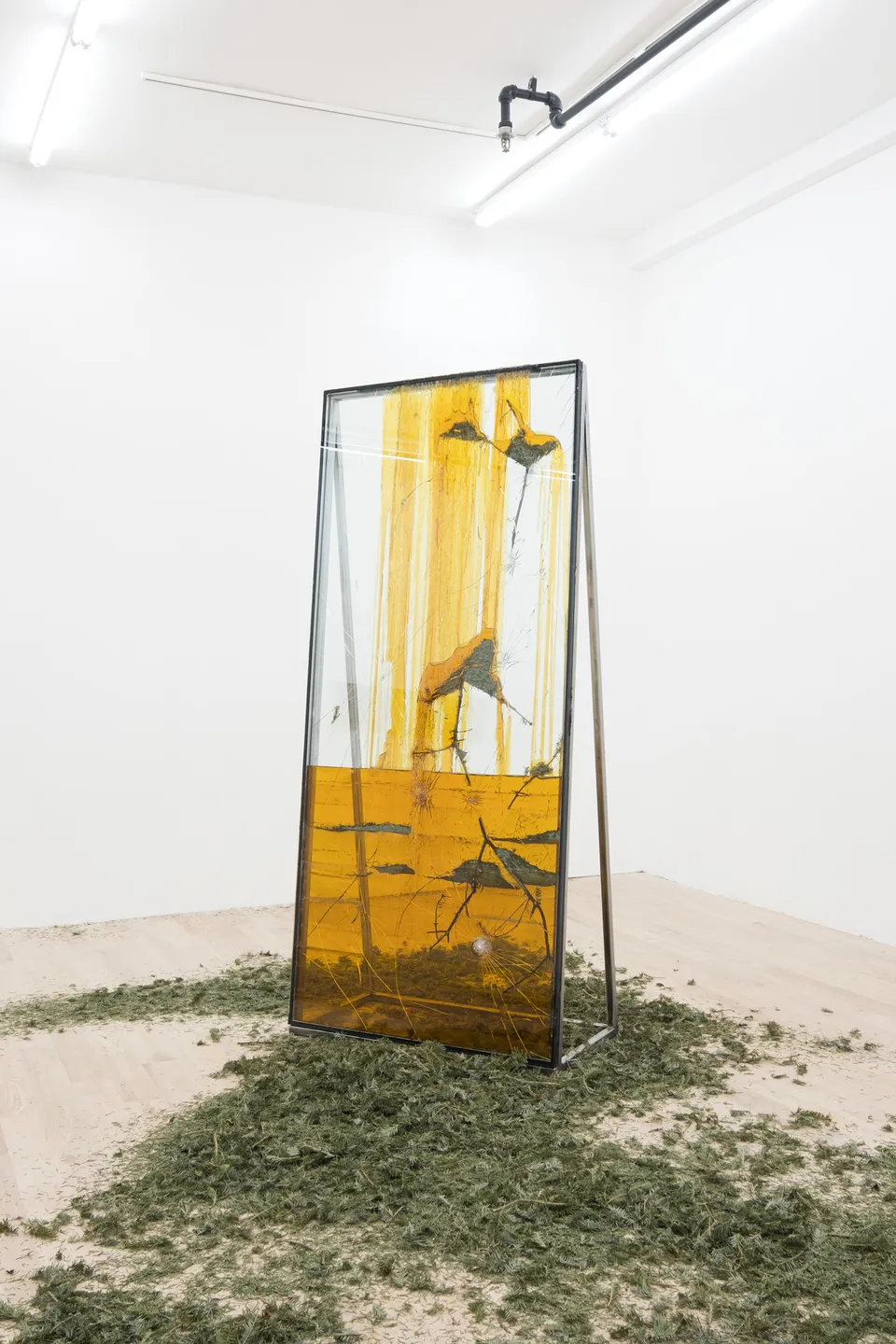 Jura Shust, Hardens the surface and heals the wound II