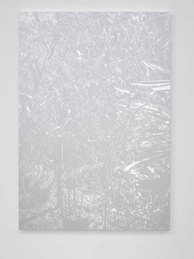 Cerith Wyn Evans, Bamboo (silver) I