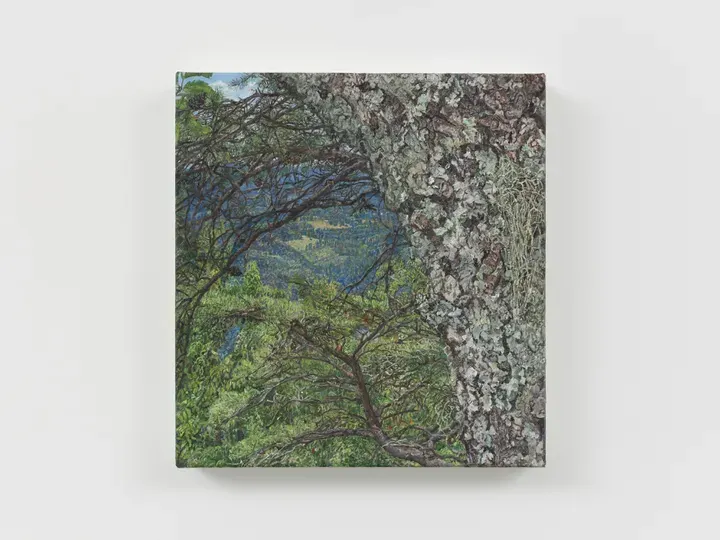 Ellen Altfest, Borrowed View
