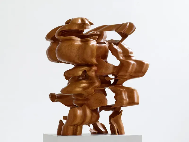 Tony Cragg, Hollow Head