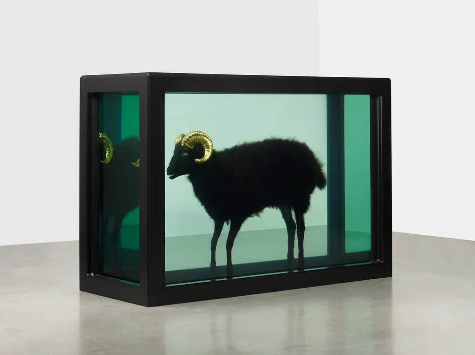 Damien Hirst, Black Sheep with Golden Horns