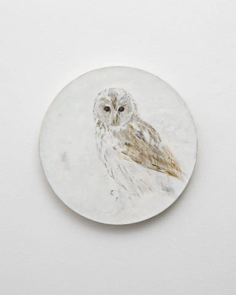 Cecilia Edefalk, Owl