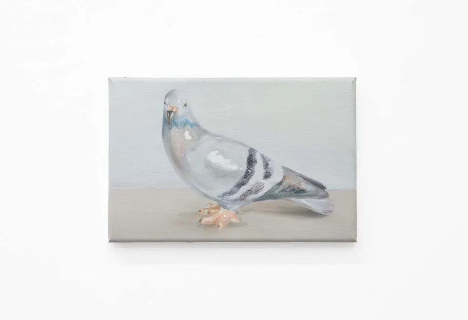 Serpil Mavi Üstün, Pigeon