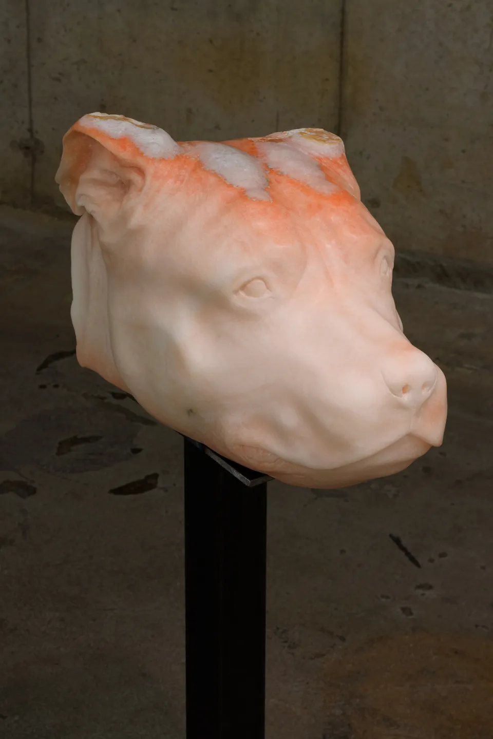 Fin Simonetti, SLdump
