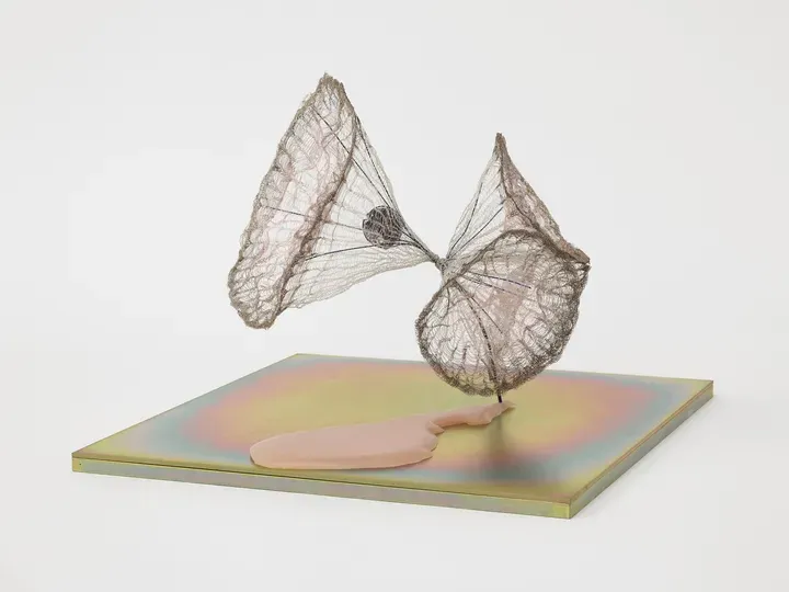 MARGUERITE HUMEAU, release of gravity