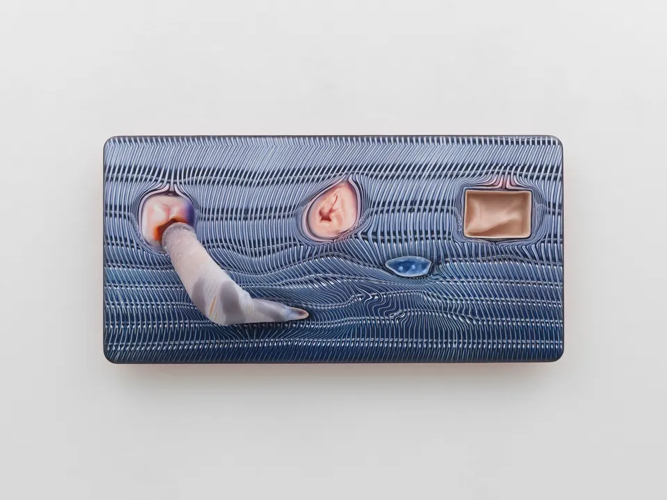 Tishan Hsu, mammal-screen-blue