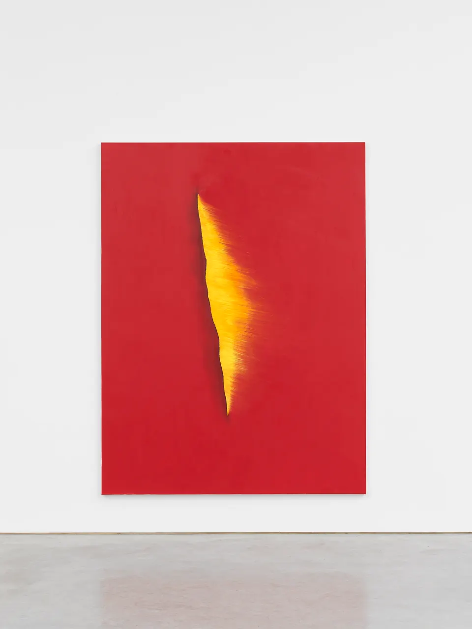 Anish Kapoor, Ritual Expiation V